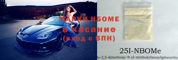 индика Балахна