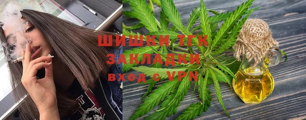 индика Балахна