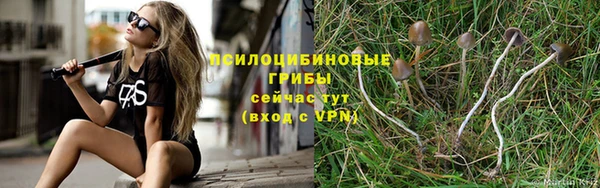 ешки Арсеньев