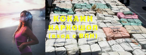 индика Балахна