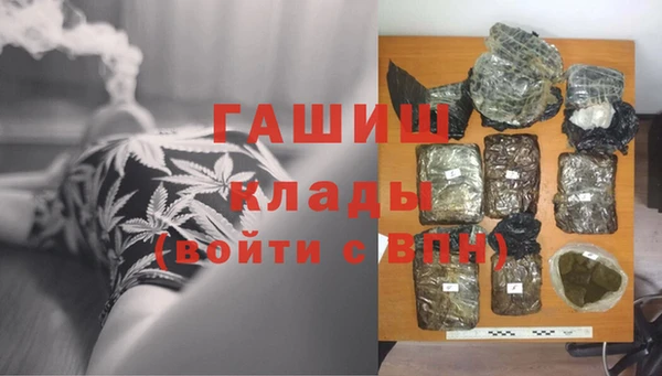 индика Балахна
